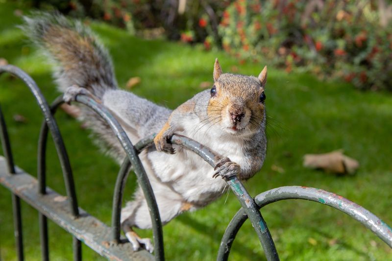 Любопытство не порок...photo preview