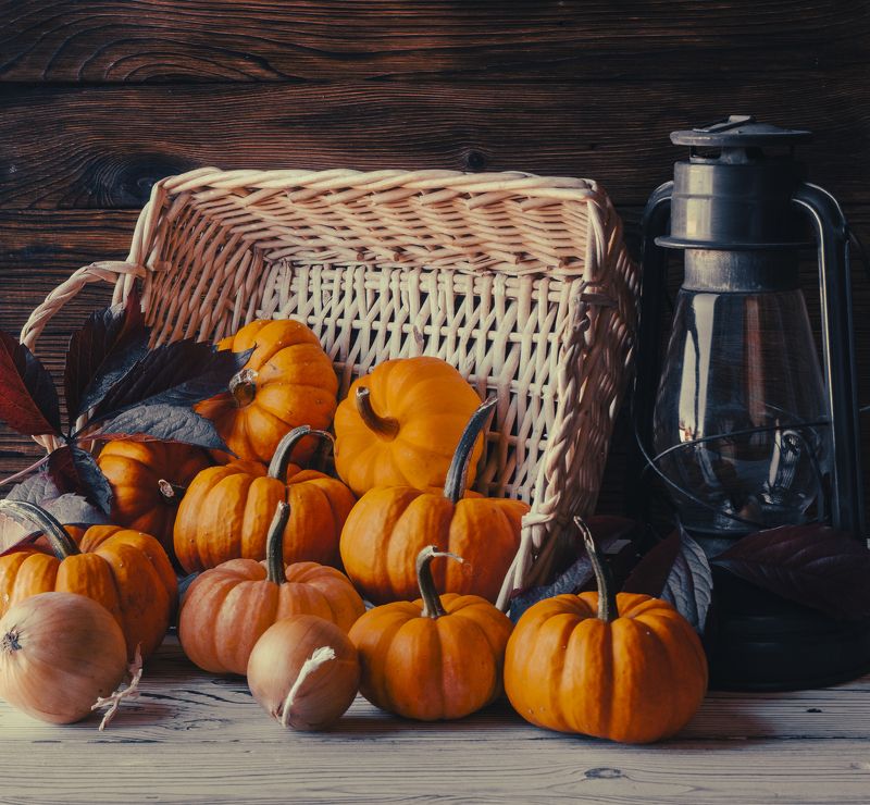 pumpkinphoto preview