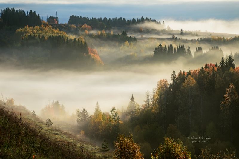 пейзаж, осень, утро, рассвет, туман, лес Осенний туманphoto preview