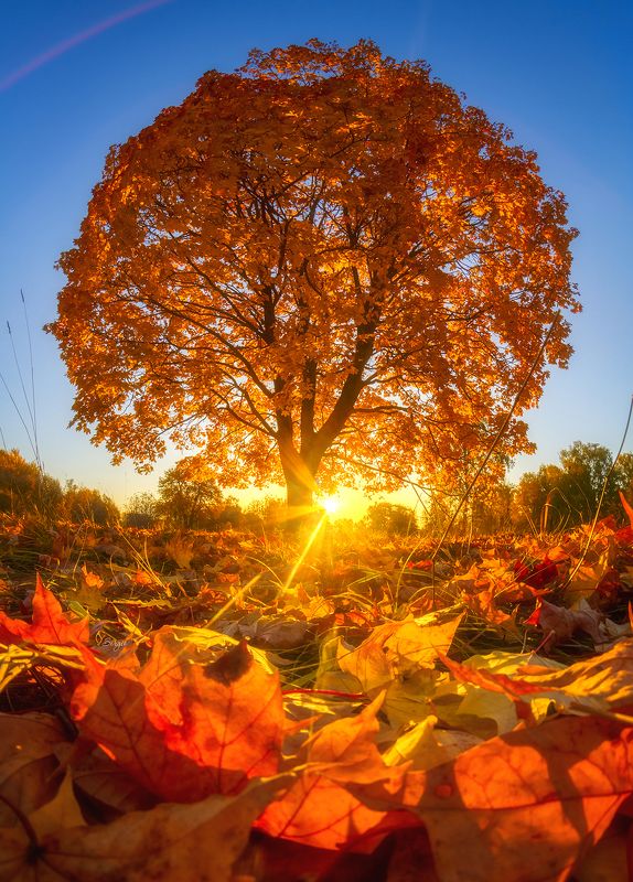 Беларусь Осеннее летоphoto preview