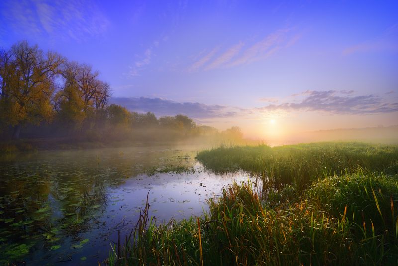 Все краски в гости к нам!photo preview