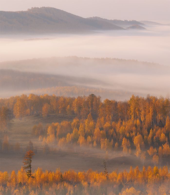 Забытыеphoto preview