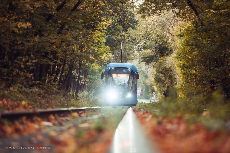 Осеньphoto preview