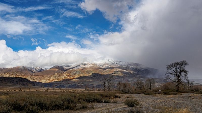 Портфолиоphoto preview