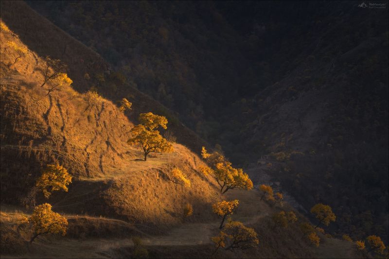 дагестан, аул чох, гуниб, осень, фототур в дагестан, фототур на кавказ, пейзажи дагестана, дагестанские террасы,восьмое чудо света, фототуры по россии, Осенний треугольникphoto preview