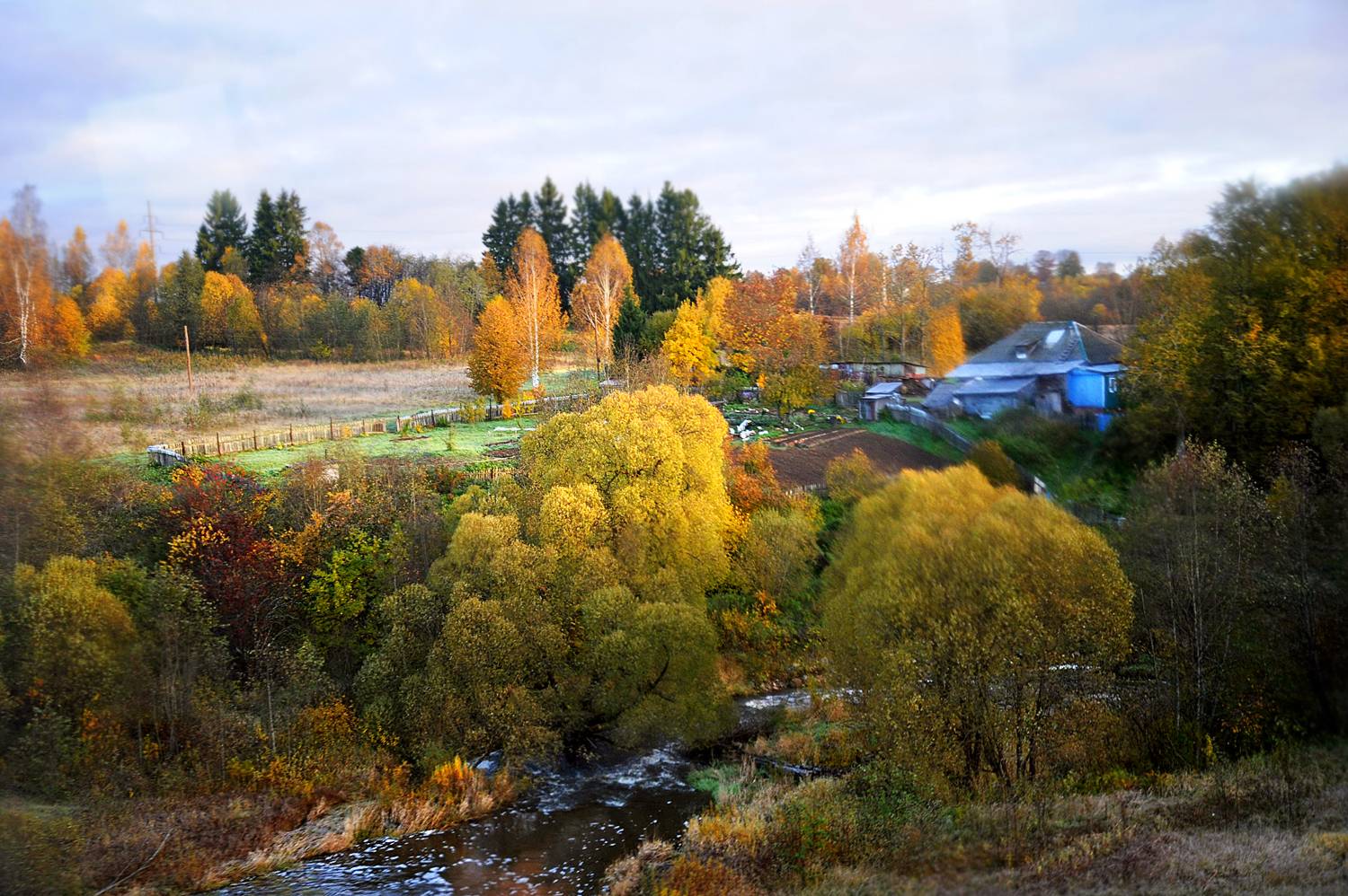 , Дарья Васильева