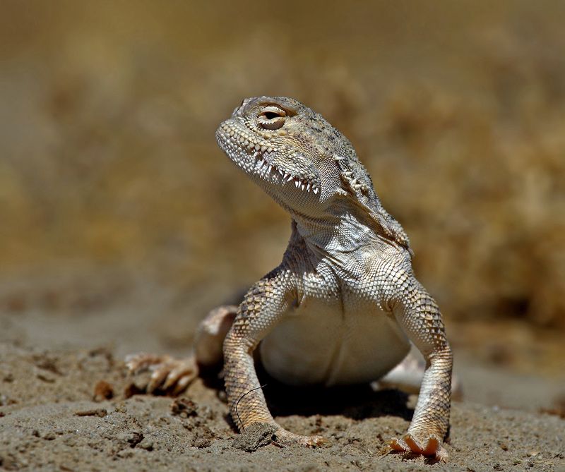 «Мы ждём перемен…»photo preview