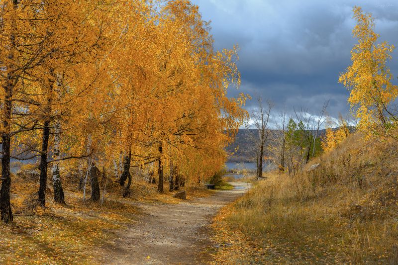 осень, осенние краски Золотой октябрьphoto preview