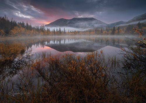 Предрассветная осень...