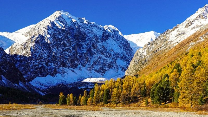 Актру, Алтай, Сибирь, Россия photo preview