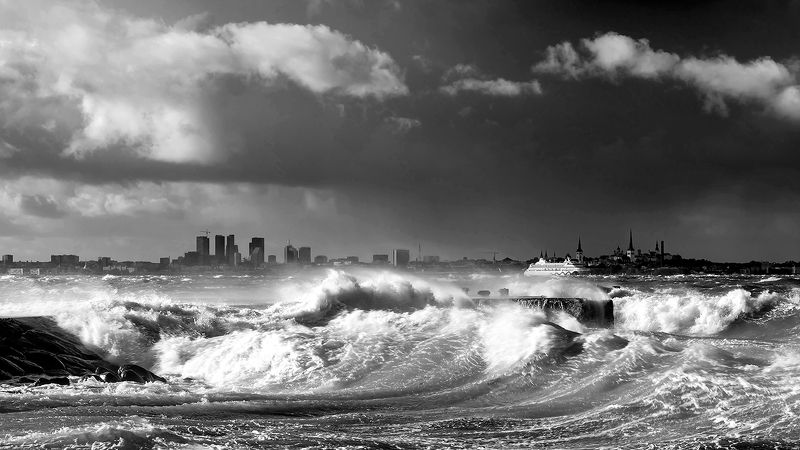 Tallinn 2023.photo preview