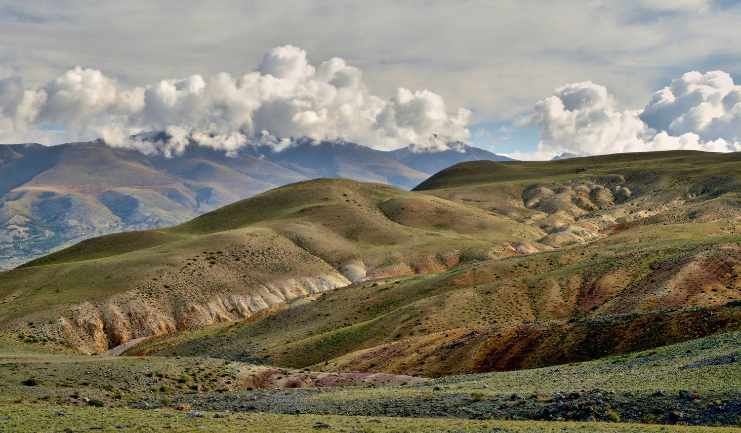 республика алтай, курайская степь, тучи, кызыл-чин,, Байдуков Александр