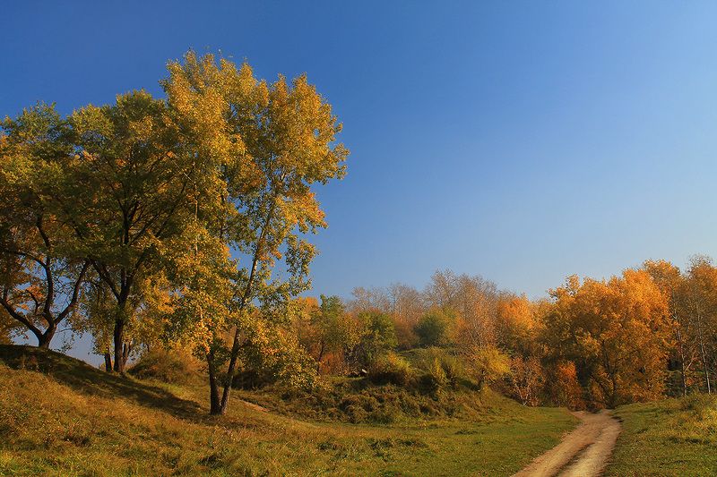 осень, сибирь, россия ..photo preview