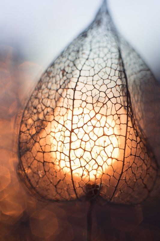 Внутренний светphoto preview