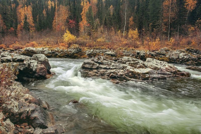 осень, река, казыр, пороги, вода, шум, природа, камни, пейзаж Осенний Казыр. фото превью