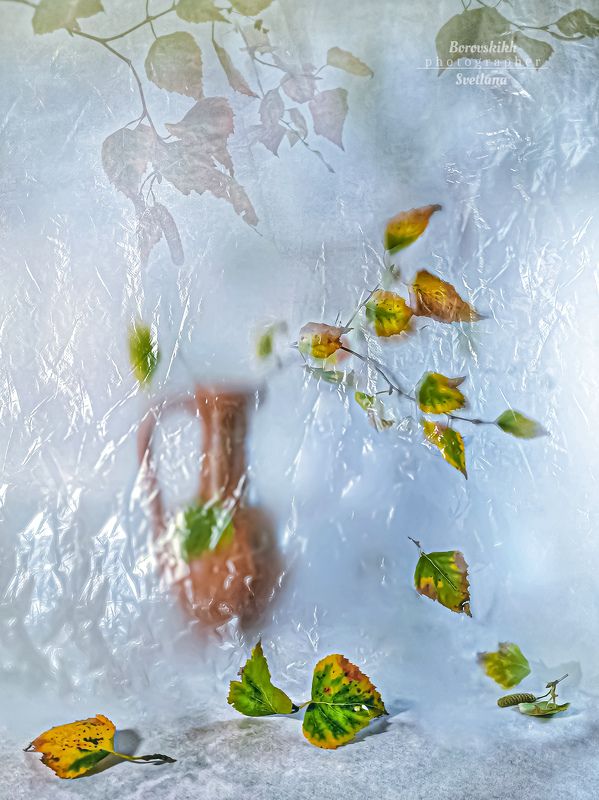 осень, плёнка,  ваза, осенний лист Осень. Ветренно... фото превью