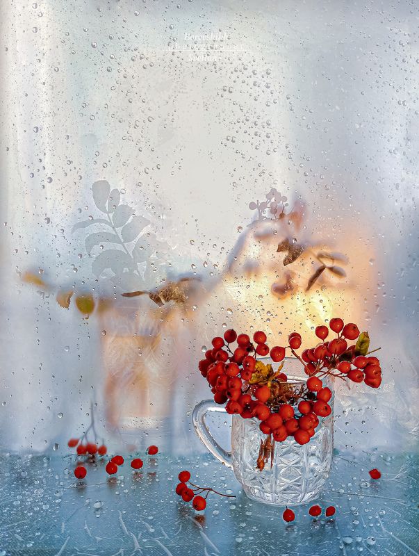 стекло, плёнка, рябина, ягода, закат, осень, капли Костры рябин! фото превью