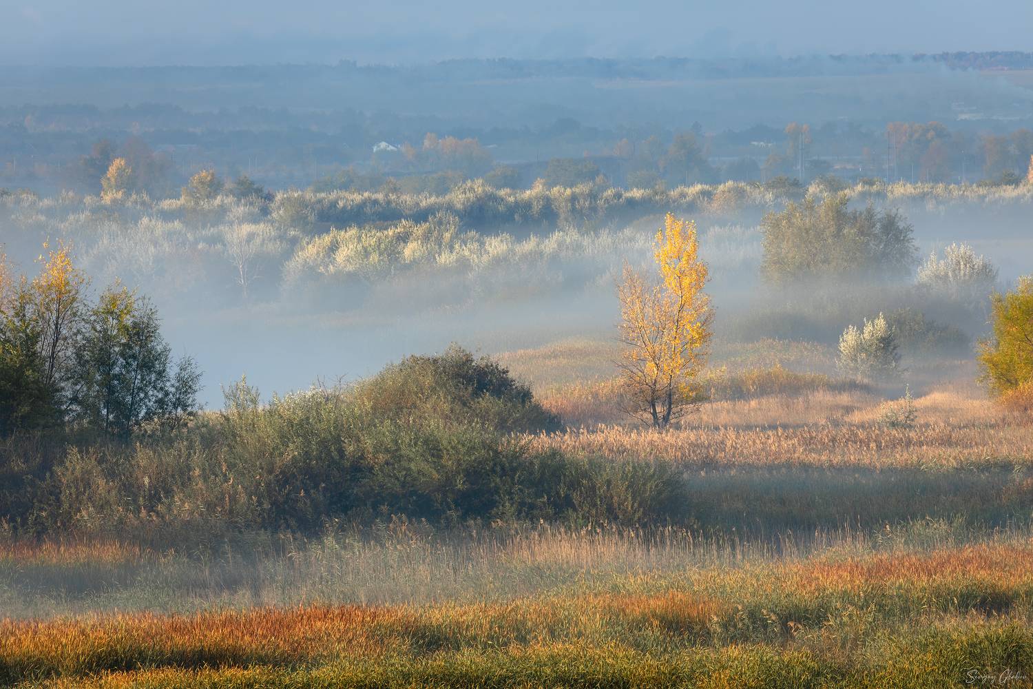 утро, туман, осень, Сергей Глебов