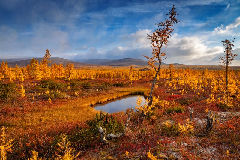 * * * фото превью