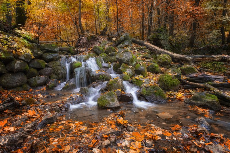 Осенние струиphoto preview