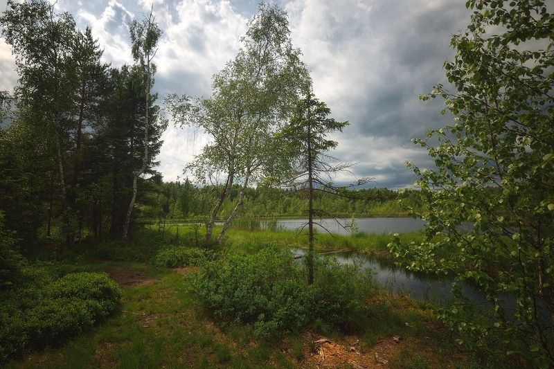 В лесу на берегу...photo preview