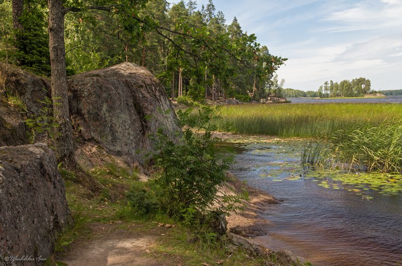 парк, монрепо, выборг, лето, пейзаж ***photo preview