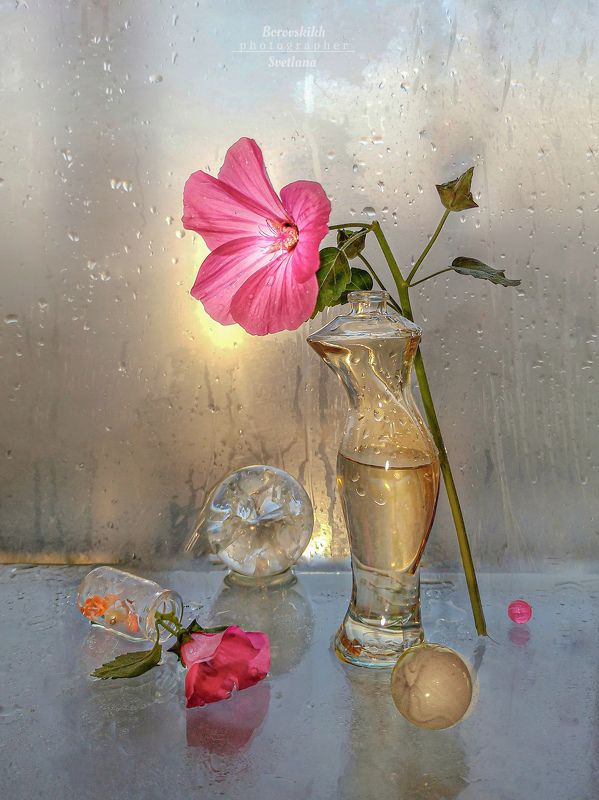 Миниатюра, стекло, цветы, мальва,  плёнка, капли Осенние сны (миниатюра с мальвой)  фото превью