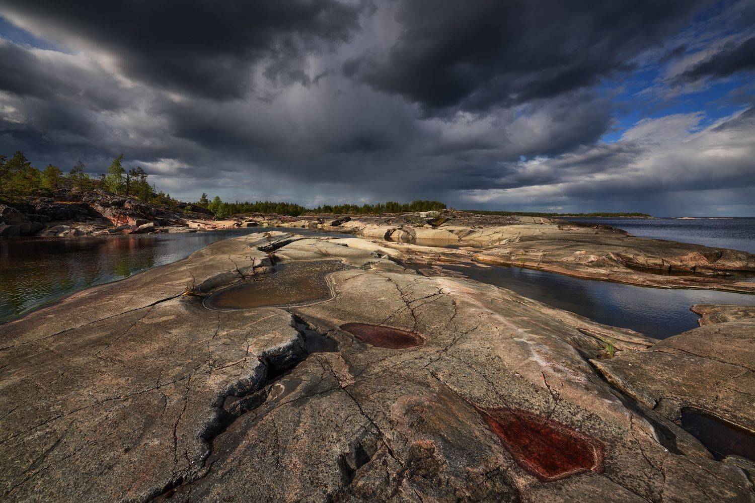 , Максим Евдокимов