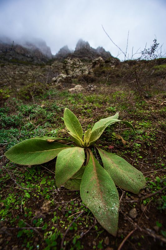 На пути к вершинеphoto preview
