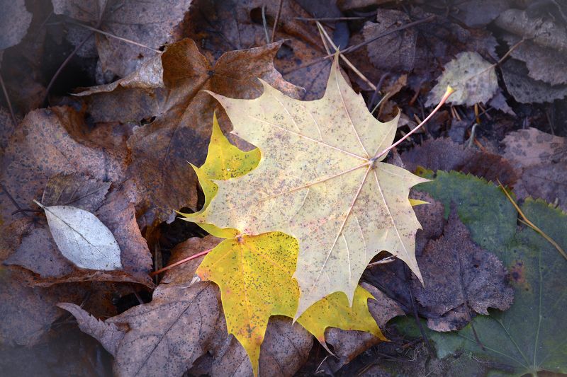 Ты, да я, да мы с тобой ...photo preview