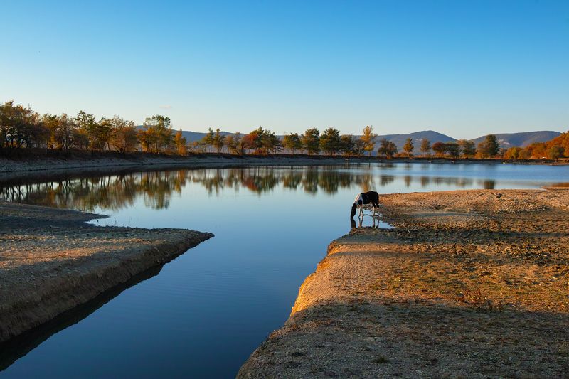 sigma sd quattro ***** фото превью