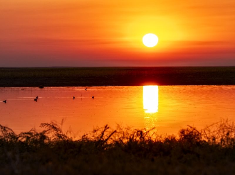 восход солнца заказник Ждем сайгаков на водопой....photo preview