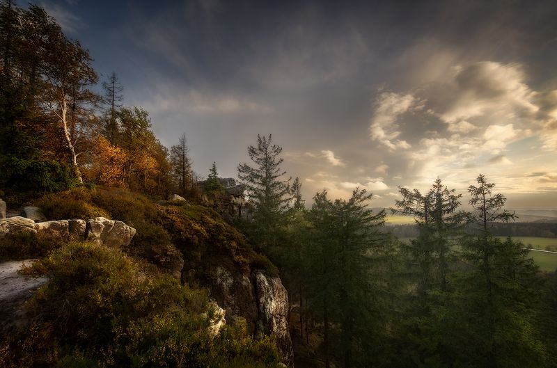 *** фото превью