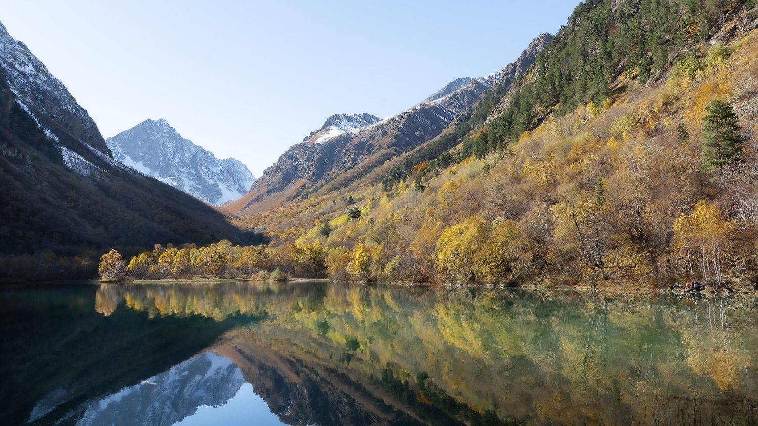 , Юрий Пужалин