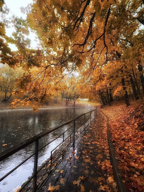 Дождливая осеньphoto preview