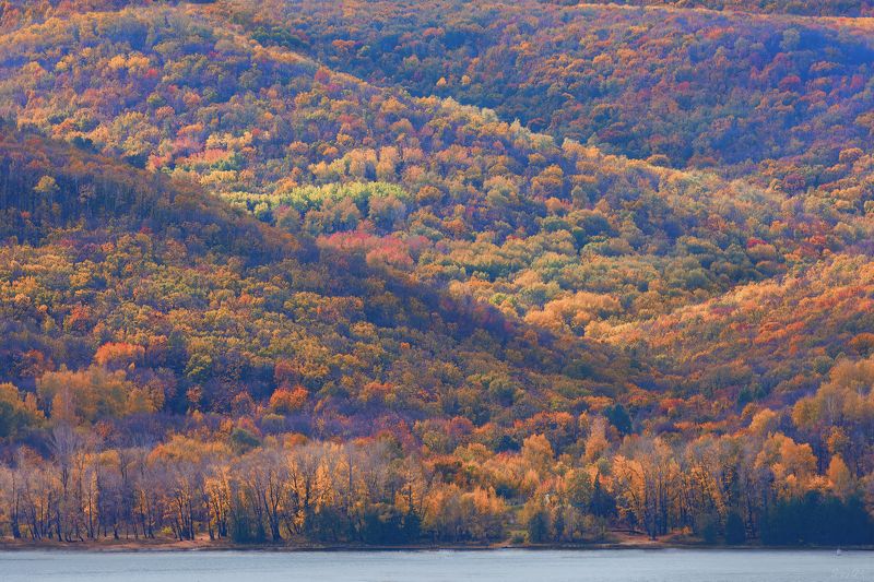 осень, осенние краски Осени ярких красок палитраphoto preview