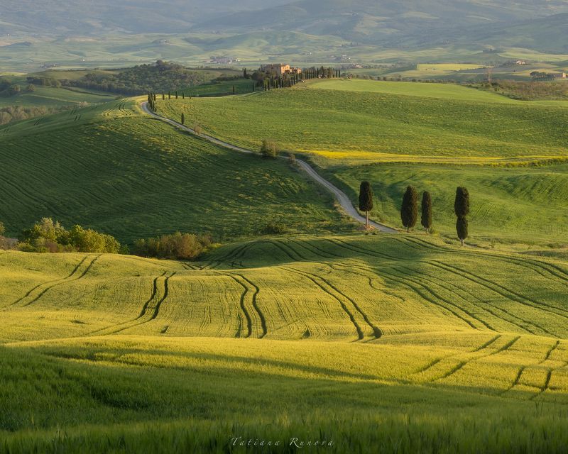 Дорога гладиатораphoto preview