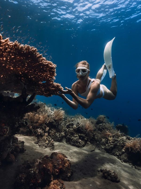 freediving, freediver, freedive, apnea, deep, ocean, blue, transparent, tropical, dive, coral, sea, wildlife, lady, woman, fins, mask, underwater, under Don\'t touch the coralsphoto preview