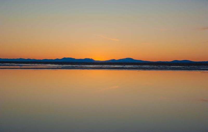 Штильphoto preview