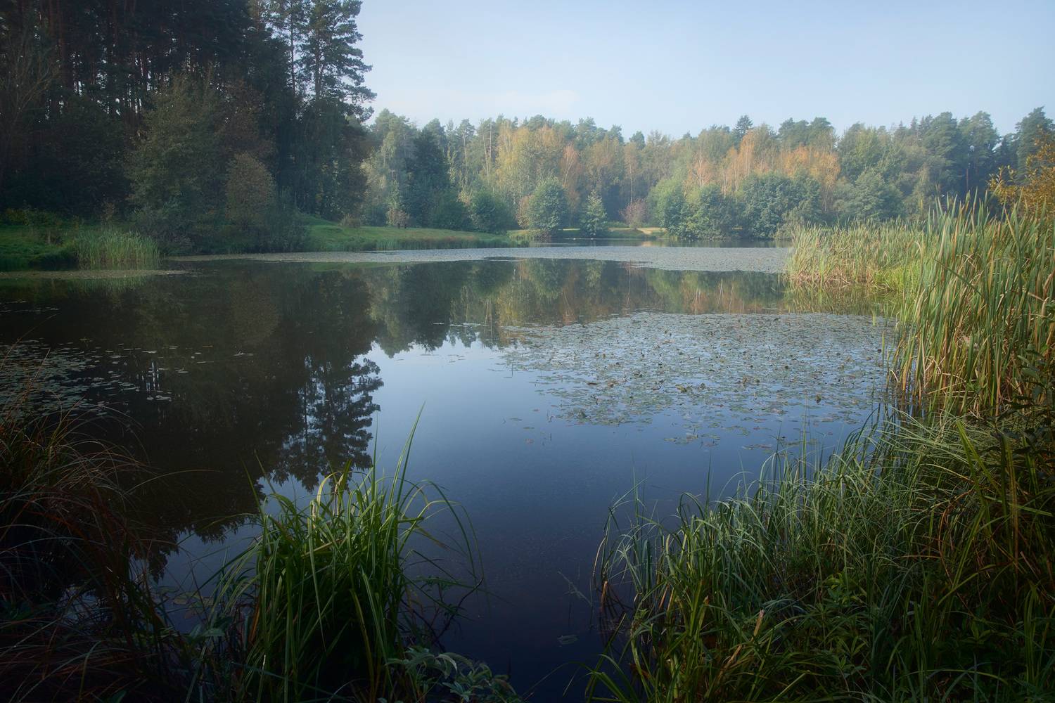 озеро, лес, Валерий Вождаев