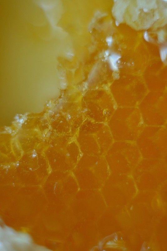 мед, соты, макро, желтый Медовые сотыphoto preview