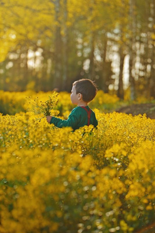 поле, цветы, дети, весна, лес, закат photo preview