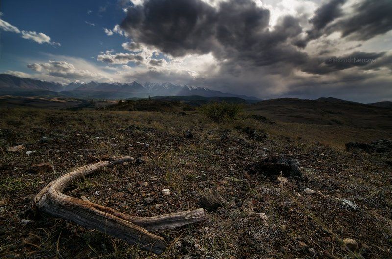 алтай, горы, камни, небо, пейзаж, погода, природа, путешествия, россия, северо-чуйский, сибирь, туризм, тучи Суровый пейзажphoto preview