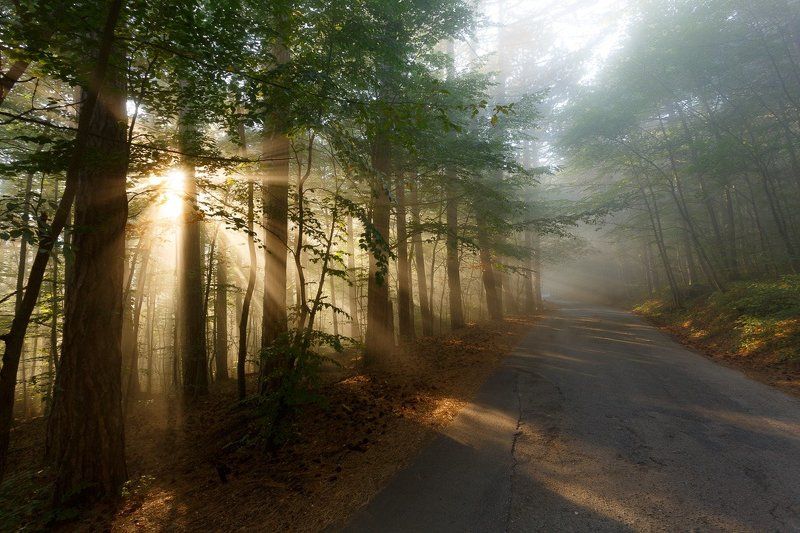 Ай-петри Вечернее солнце на Ай-Петриphoto preview