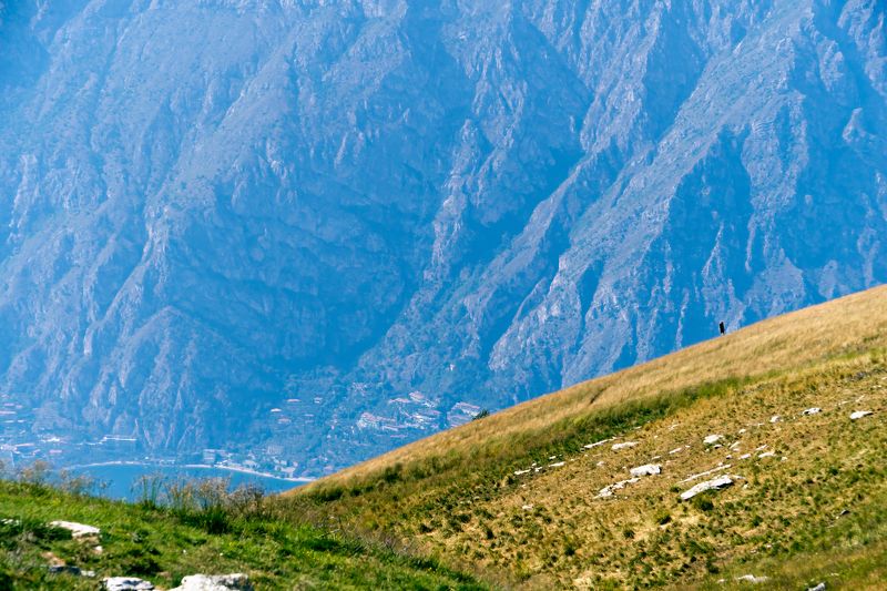 Гардовские зарисовкиphoto preview