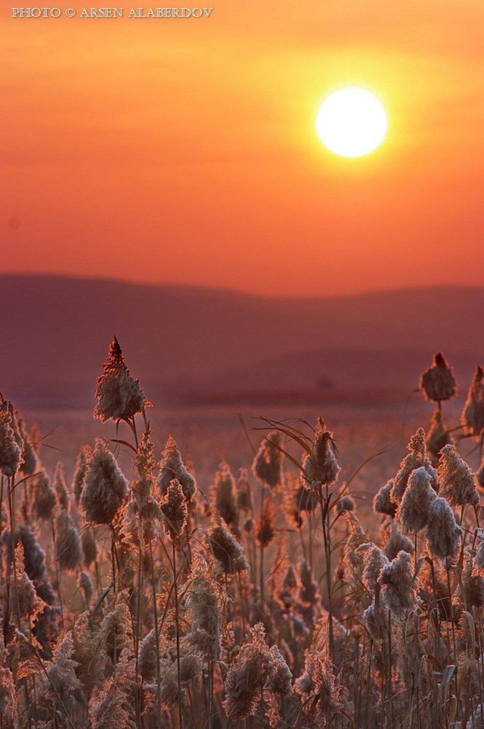 СОЛНЦЕ. НАЧАЛО НОВОГО ДНЯ. Автор: Арсен Алабердов Восход, Горы, Камыш, Небо, Солнце, УТРЕННЕЕ НЕБО, Утро, Арсен Алабердов