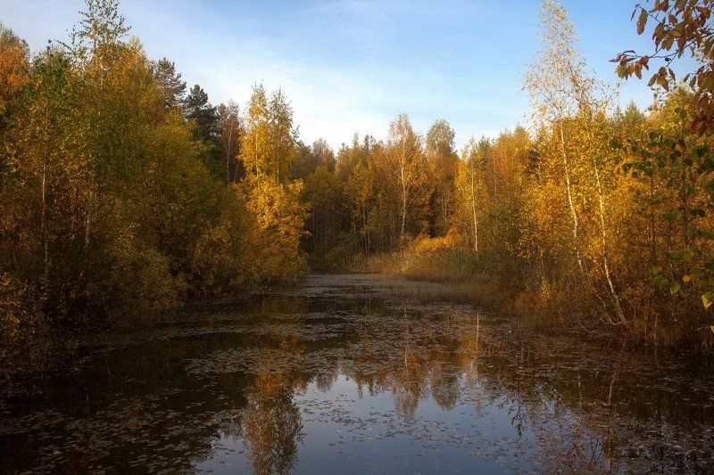 Осенний уголок фото превью