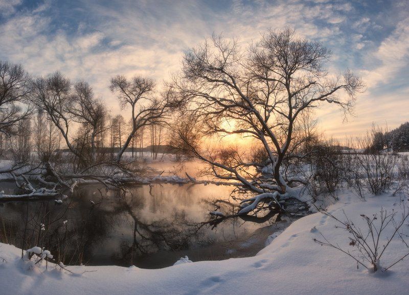 Воспоминания о будущей зимеphoto preview