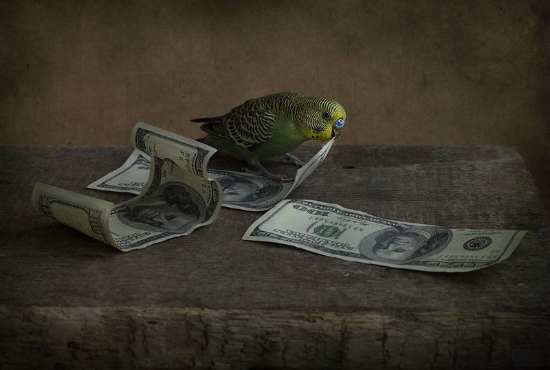 Санкцииphoto preview