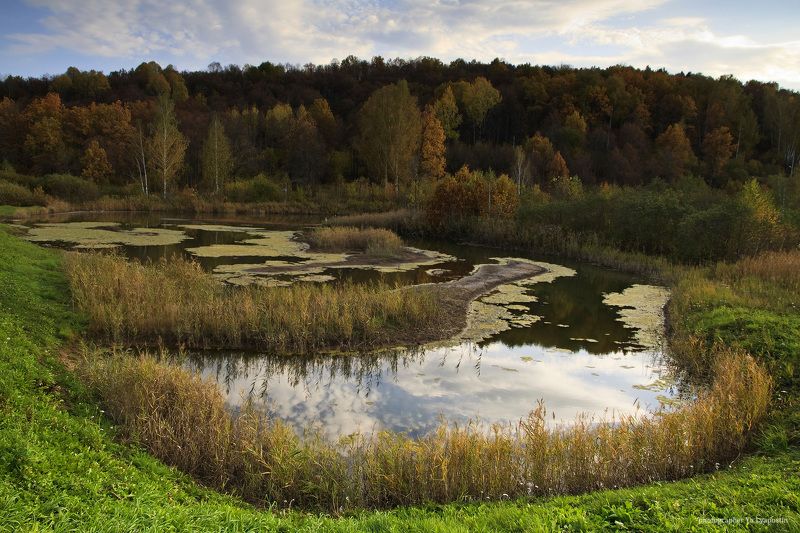 Природа ***photo preview